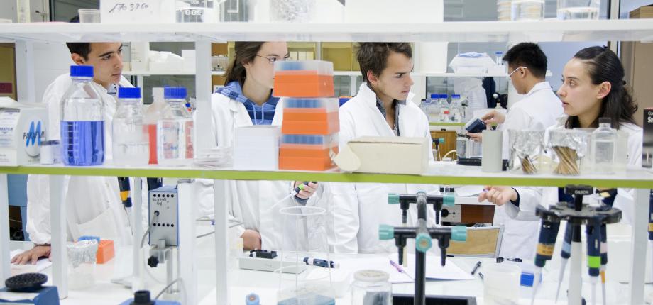 Master Year 2 Chemistry and Interfaces