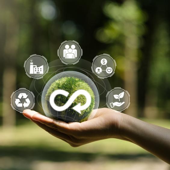 “Impact natif” : quand la durabilité est au cœur de l’entrepreneuriat